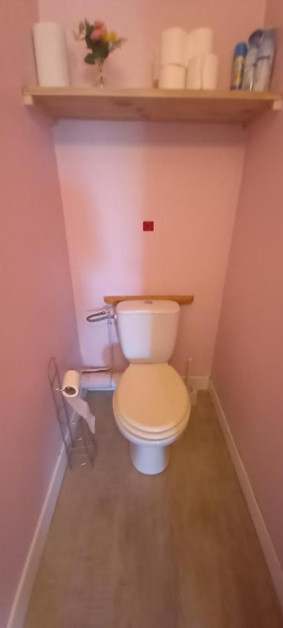Le Petit Loup Palois - Terrasse & Wifi Fibre Apartment Pau Exterior photo